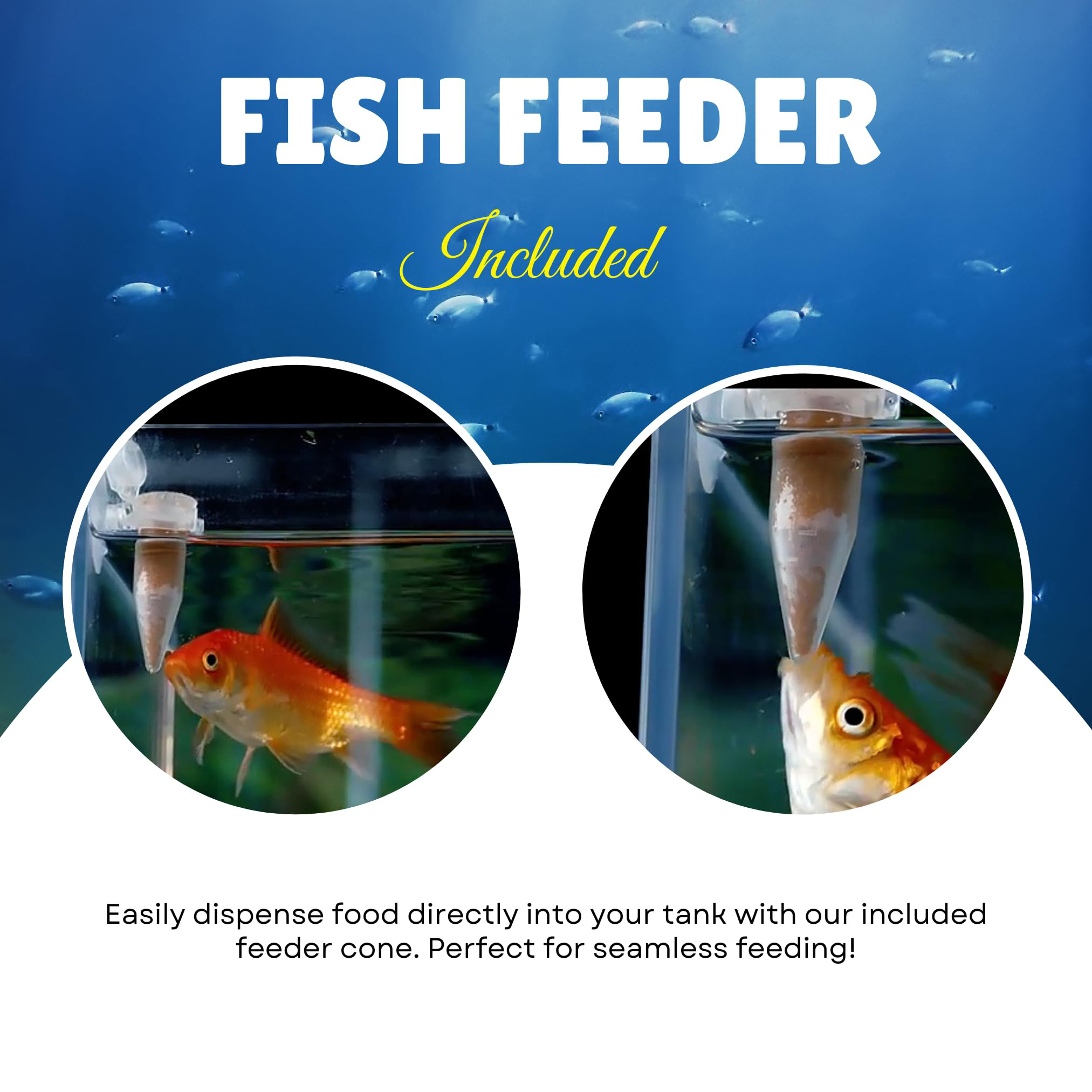 Complete Brine Shrimp Eggs & F - Baby Products Distributor ulasan dan harga